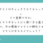 重剣士,マリオネット